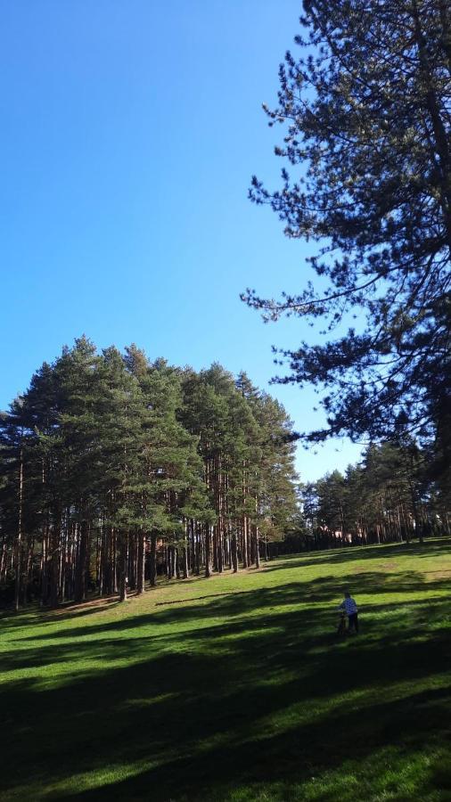 Apartmani Sloboda Zlatibor Dış mekan fotoğraf